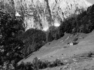 Almwinkel_Joch_Golling