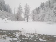 Egelsee_Winter