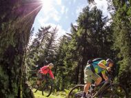 Mountain-Bike-Sonnenschein