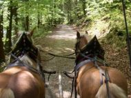 Pferdekutschenfahrt_Golling