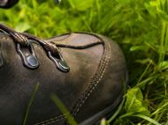 Wandern-im-gruenen