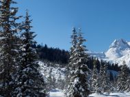 Winterlandschaft